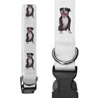 'Staffordshire Bull Terrier' Dog Collars (PR027917)