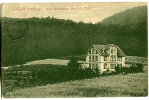 AK Steinbergen,Villa Waldfrieden,bei Rinteln 1915 - Bild 1 von 2