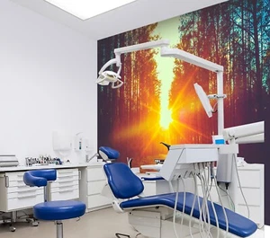 3D Sunlight Forest A526 Business Wallpaper Wall Mural Self-adhesive Commerce Amy - Picture 1 of 11
