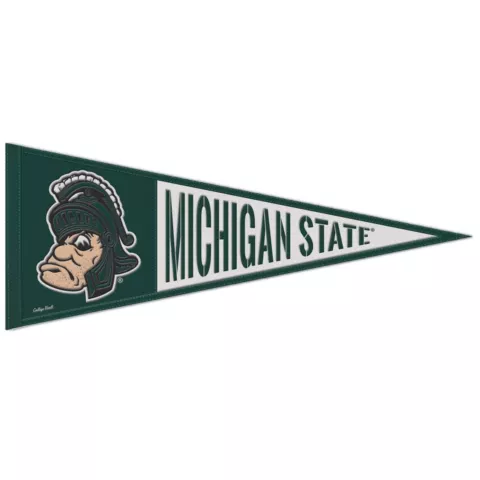 MICHIGAN STATE SPARTANS VAULT WOOL EMBROIDERED PENNANT 13"x32" NEW WINCRAFT 👀 Cover