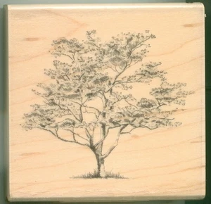 Sello de goma INKADINKADO ÁRBOL DE MADERA PARA PERROS montado en madera, jardín, naturaleza, 01273 - Imagen 1 de 1