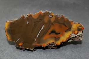 Condor agate collector specimen (fluorescent) OO6 - Picture 1 of 5