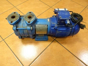 Apollo 30 Oil Pump KS-32/2-004/GA/B - Picture 1 of 9