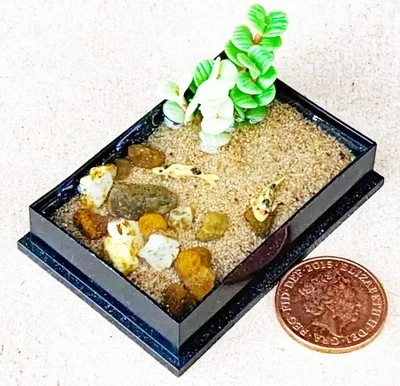 Dolls House Oblong Plastic Pond With 2 Koi Carp & Green Plant 1:12 Scale tumdee - Image 1 of 4