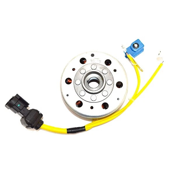 SCHWUNGRAD ROTOR STATOR PIAGGIO Vespa S 150 2008-2009 168528#81 - Imagem 1 de 1