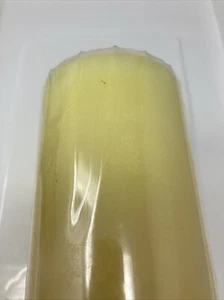 Pier 1 Imports Honeysuckle Scented Pillar Candle 3" x 6" New. Free Shipping. - Picture 1 of 12