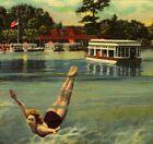 Postcard Silver Springs FL Beauty Above Below Glass Bottom Boat Woman Swimming