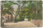 Ascot, Bog Lane, 1905 postcard