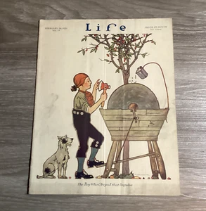 Life Magazin 24. Februar 1921 RAR Kirschbaum hacken - Bild 1 von 6