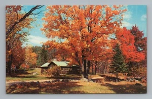 New England Autumn Colors Scenic Log Cabin Vintage Postcard - Bild 1 von 2