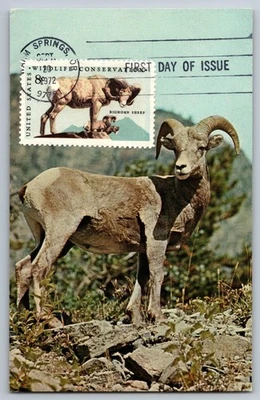#1467 Wildlife Conservation Bighorn Sheep FDC Maxi Card - Image 1 of 2