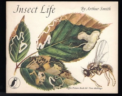 Insect Life-Arthur Smith 1950 1st Puffin Picture Book 66 Nice Ballantine Estate - Image 1 of 2