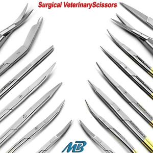 Surgical Scissors Veterinary Microsurgery Dissecting Nursing Dentist Instruments - Picture 1 of 19