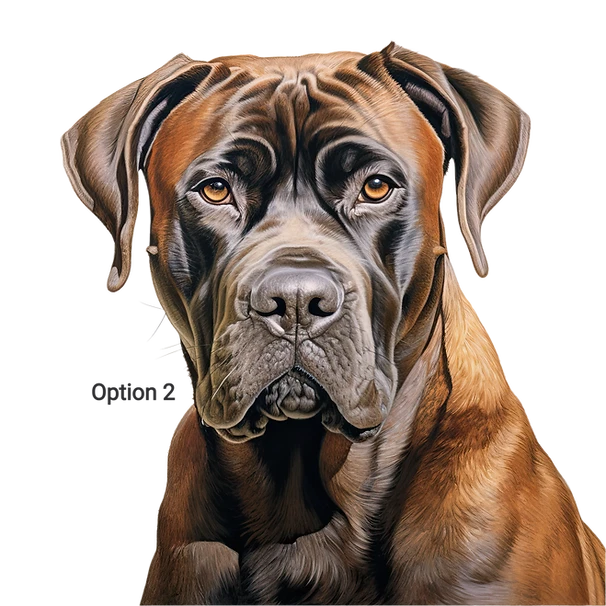 Camisetas/camiseta de raza Cane Corso calidad absorbente Foto 1 de 1