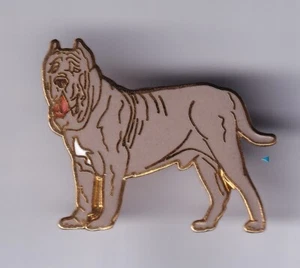 RARE PINS PIN'S .. ANIMAL CHIEN DOG CYNOPHILIE RACE MATIN DE NAPLES EMAIL ~FG - Imagen 1 de 1