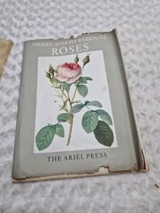 Rosen Blumen Pierre-Joseph Redoute Kunstdrucke Vintage Selten Album - Bild 1 von 24