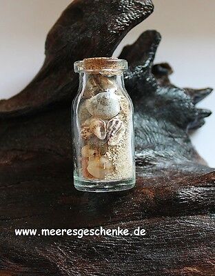 Dekorative Flasche Mit Muscheln, Sand & Korkverschluss Länge Ca. 4,5 Cm Ø: 2 Cm • 1.74€