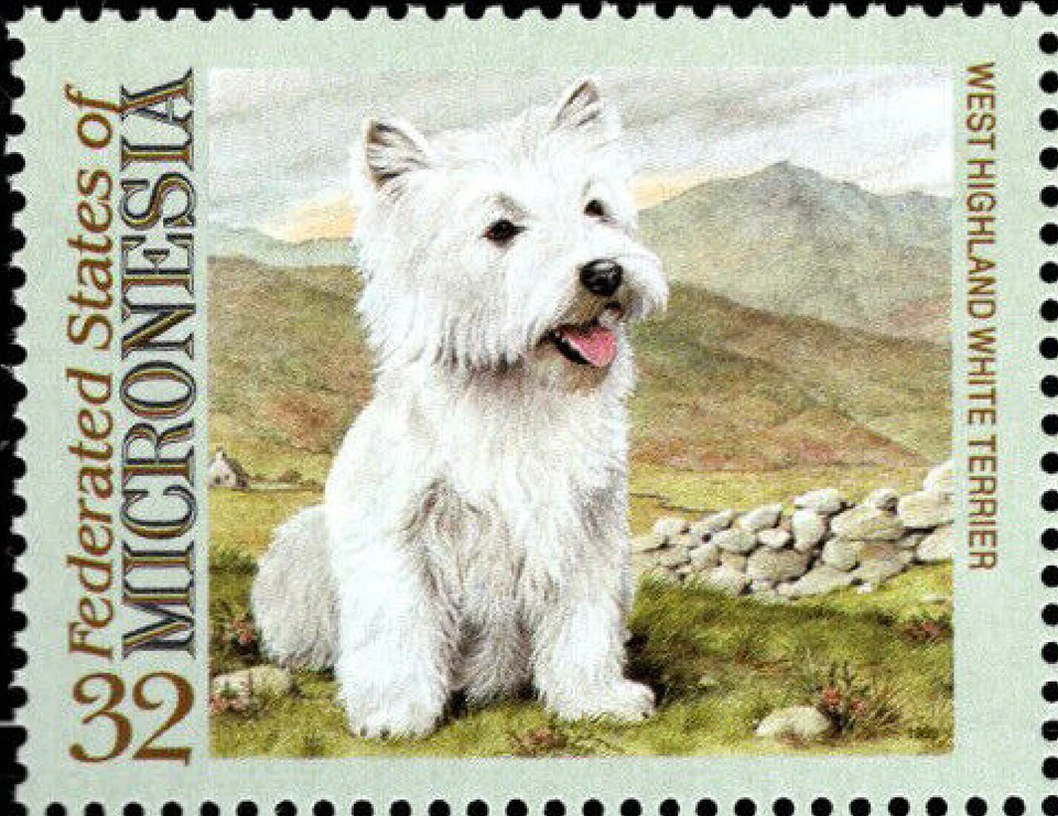 Micronesia #Mi414 MNH 1995 West Highland White Terrier [211a YT344] Foto 1 de 1