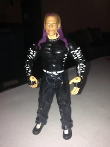 2003 WWE JEFF HARDY PURPLE HAIR WRESTLING ACTION FIGURE RARE JAKKS PACIFIC VHTF - Picture 1 of 12