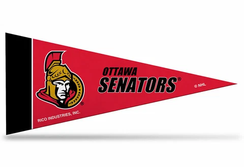 Ottawa Senators NHL Felt Pennant 4" x 9" Mini Banner Flag Souvenir NEW Cover