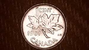 Canada Cent Penny kanadische Umlaufmünze 1981 - Bild 1 von 2