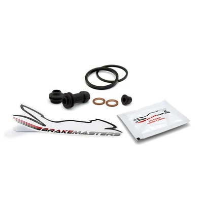 Triumph Daytona 675 R 2013 rear brake caliper maintenance kit Foto 1 de 4