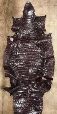 Pele de crocodilo brilhante Borgonha - Imagem 1 de 4