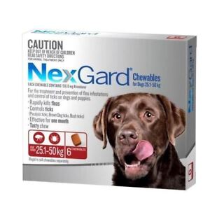 NexGard for Dogs 25.1-50kg - Red 6 Pack