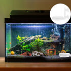 Air Acrylic Stones For Hydroponics Oxygen Fish Tank Pump