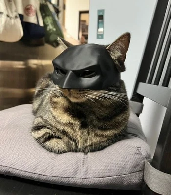 Bat Cat Mask for Pets Funny Batman Style Costume for Cat or Small Dog Fox - Image 1 of 4