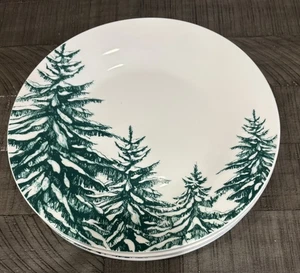 Set Of 4 Christmas Dinner Plates Winter Green Holiday Table Decor Ceramic 10.5” - Picture 1 of 3