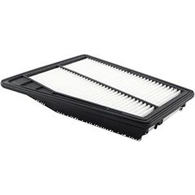 Baldwin PA10241 面板空气元件适用于 09 - 11 现代 Genesis — 第 1/4 张图片