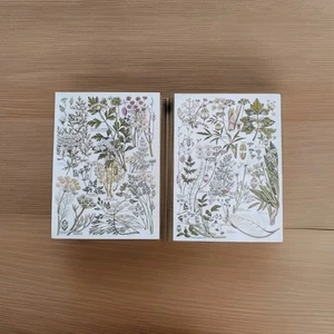 Botanical Prints Set Of 2 Wall Art Picture Vintage Flowers Floral Illustration - Picture 1 of 4
