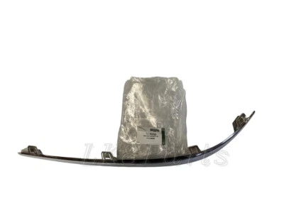 Jaguar S-Type Front Bumper Blade Chrome Trim Left Hand XR87629 GENUINE Foto 1 de 4