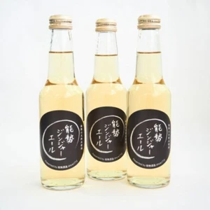 Nose Shuzo Nose Ginger Ale 250ml x 24 bottles from JAPAN Soda soft drink NEW - Picture 1 of 6