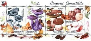 👉 ROMANIA 1994 EDIBLE MUSHROOMS  S/S MNH FOOD, FORESTS - Picture 1 of 1