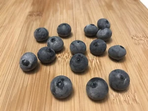 Realistic Fake Plastic 15 BLUEBERRIES Faux Fruit Artificial Display Props - Picture 1 of 5