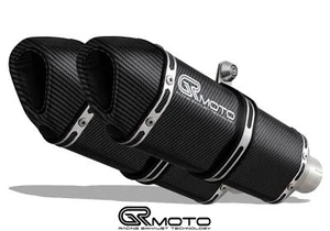 Exhaust for Aprilia TUONO 1000 R / FACTORY / FIGHTER 2006-2011 GRmoto Carbon - Picture 1 of 3
