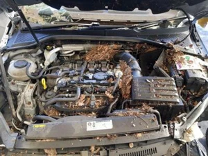 MK7.5 VW GOLF GTI 2017-2020 motor completo 2.0 TSI gasolina CHHA - Imagen 1 de 7