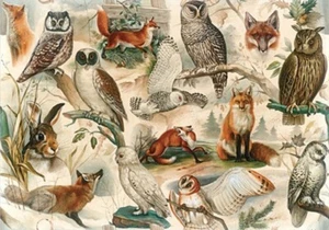 Bomo Art Gift Wrapping Paper. Large Size 1m x 0.7m. TWO SHEETS - Picture 1 of 41