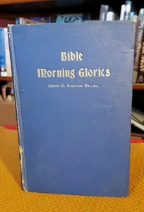 Bible Morning Glories Abbies C. Morrow Brown c.1896 VTG Hardcover Book Christian - Picture 1 of 11