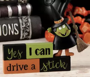 Cubo en flor ""Yes I can Drive a Stick"" Bruja Halloween Resina NUEVO - Imagen 1 de 1