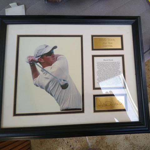 PGA Tour David Duval PGA TOUR Champion Gold Signed Plaque Framed 16"x13" Cover