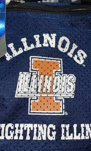 Illinois Illini NCAA 6x8 Game Day Pouch crossbody NWT Zippered Little Earth - Picture 1 of 6