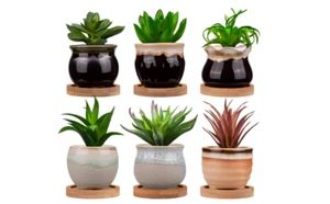 Planter Pots Small Ceramic Mini Flower Plant Containers Bamboo Round Drainage 6 - Picture 1 of 8