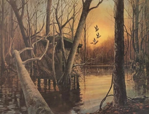 McDonald, Mallard Morning S/N Duck Hunting Art Print 21.5 x 16.5 - Picture 1 of 1