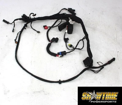 22-25 HARLEY-DAVIDSON LOW RIDER ST FXLRST 117 MOTOR PRINCIPAL ARNÉS DE CABLEADO MOTOR Foto 1 de 4