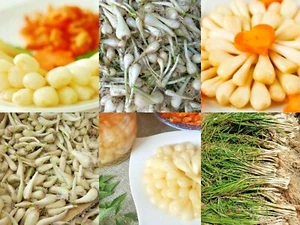 Củ Kiệu Allium chinense Rakkyo sakurab รากชู 辣韭 cu kieu hue jiaotou herb root 12 - Picture 1 of 2