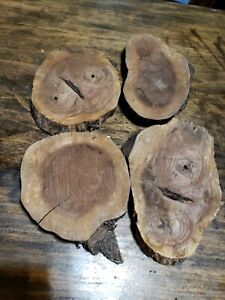 Black Walnut Lot Of 4 Odd Shape  Small Wood Slices Really Dry cookie Live  #340