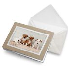 Greetings Card (Biege) - Cute Staffie Puppies Dog Animals Pets #8638